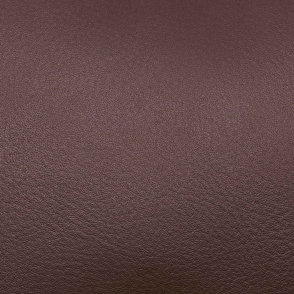 Nordweg Workplace Tech Organizer in Coffee, close-up of the leather surface grain.