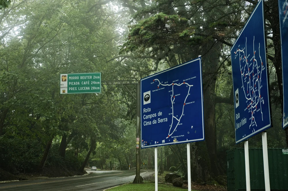 Road signs under the trees in Picada Café